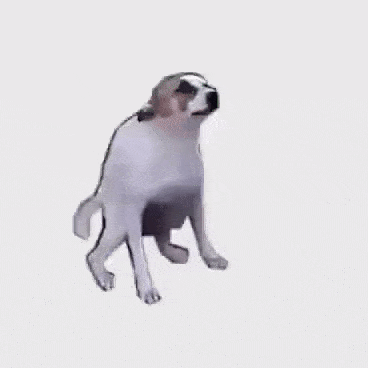 my dog when I told him hippos are related to whales